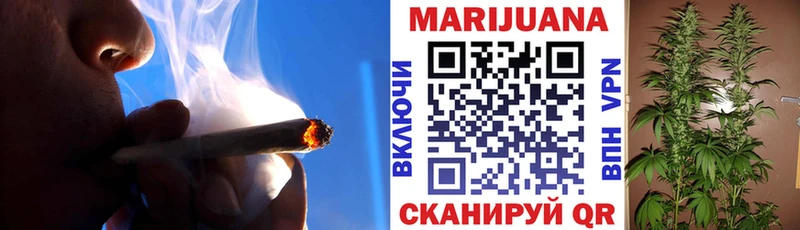 ГАШ Злынка