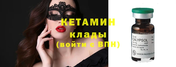прущая мука Вяземский