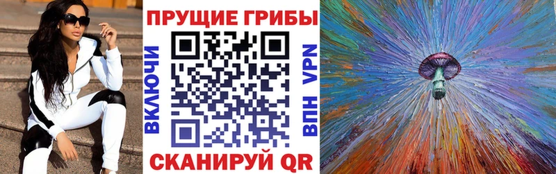 kraken ТОР  Злынка  Псилоцибиновые грибы ЛСД 