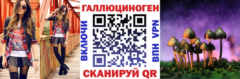 Псилоцибиновые грибы мицелий Злынка